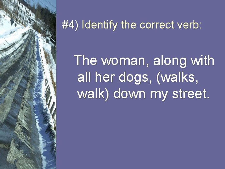 #4) Identify the correct verb: The woman, along with all her dogs, (walks, walk)