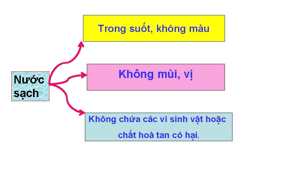 Trong suốt, không màu Nước sạch Không mùi, vị Không chứa các vi sinh