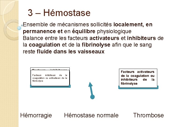 3 – Hémostase Ensemble de mécanismes sollicités localement, en permanence et en équilibre physiologique