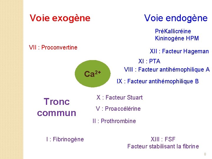 Voie exogène Voie endogène PréKallicréine Kininogène HPM VII : Proconvertine XII : Facteur Hageman