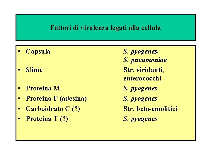 Fattori di virulenza legati alla cellula • Capsula • Slime • • Proteina M