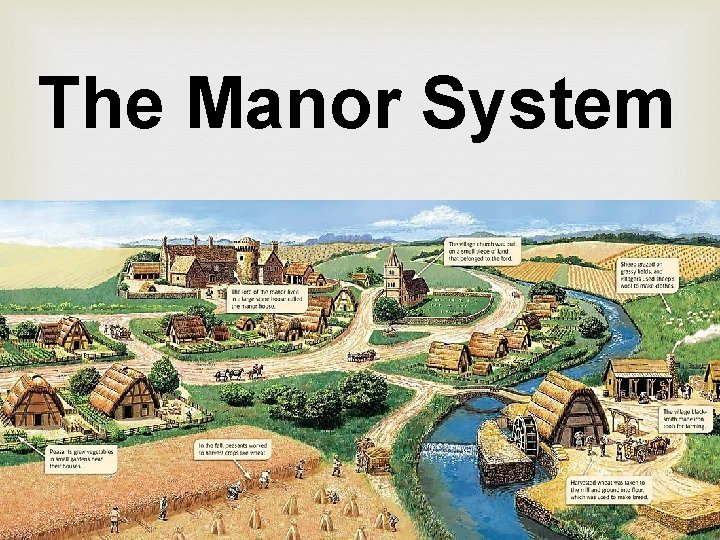 The Manor System 