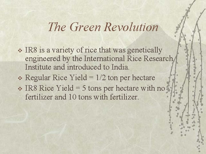 The Green Revolution v v v IR 8 is a variety of rice that