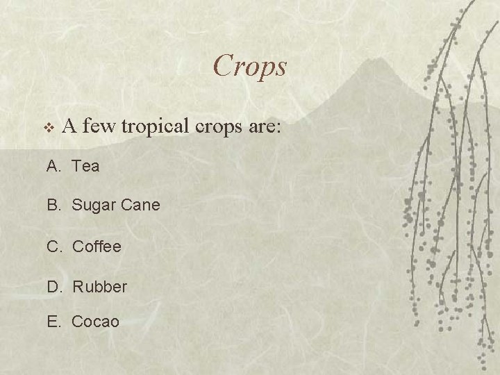 Crops v A few tropical crops are: A. Tea B. Sugar Cane C. Coffee