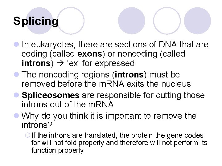 Splicing l In eukaryotes, there are sections of DNA that are coding (called exons) Splicing l In eukaryotes, there are sections of DNA that are coding (called exons)