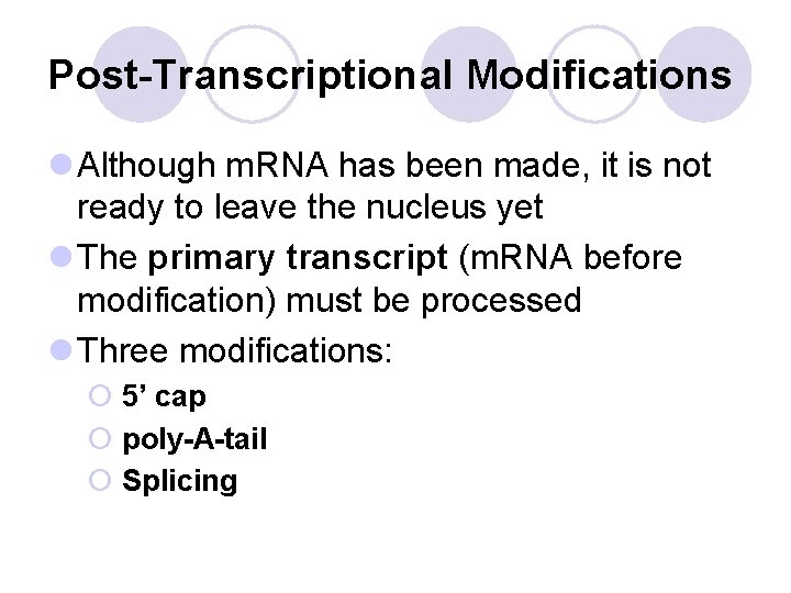 Post-Transcriptional Modifications l Although m. RNA has been made, it is not ready to Post-Transcriptional Modifications l Although m. RNA has been made, it is not ready to