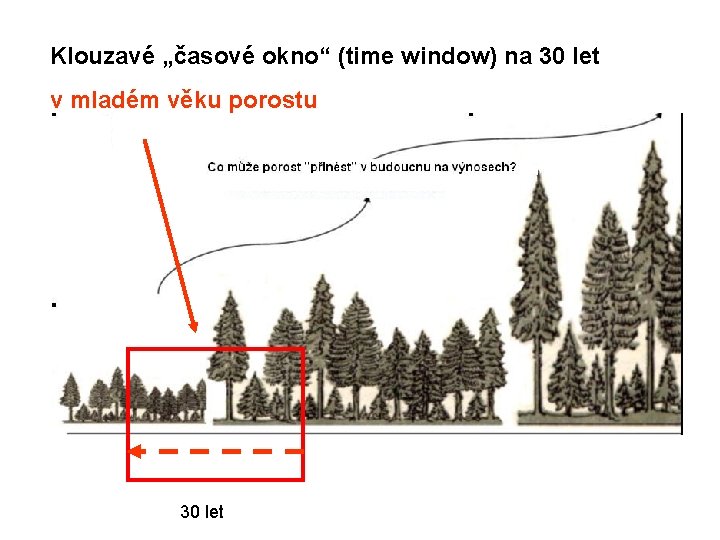 Klouzavé „časové okno“ (time window) na 30 let v mladém věku porostu 30 let