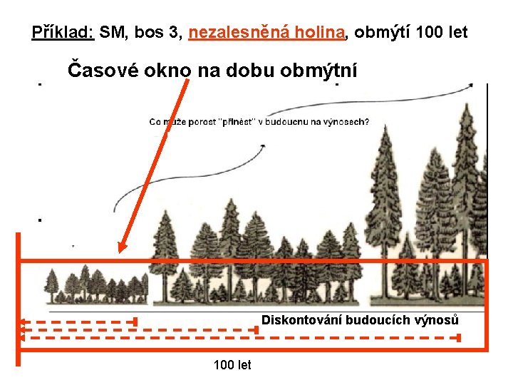 Příklad: SM, bos 3, nezalesněná holina, obmýtí 100 let Časové okno na dobu obmýtní