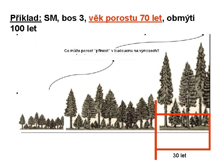 Příklad: SM, bos 3, věk porostu 70 let, obmýtí 100 let 30 let 