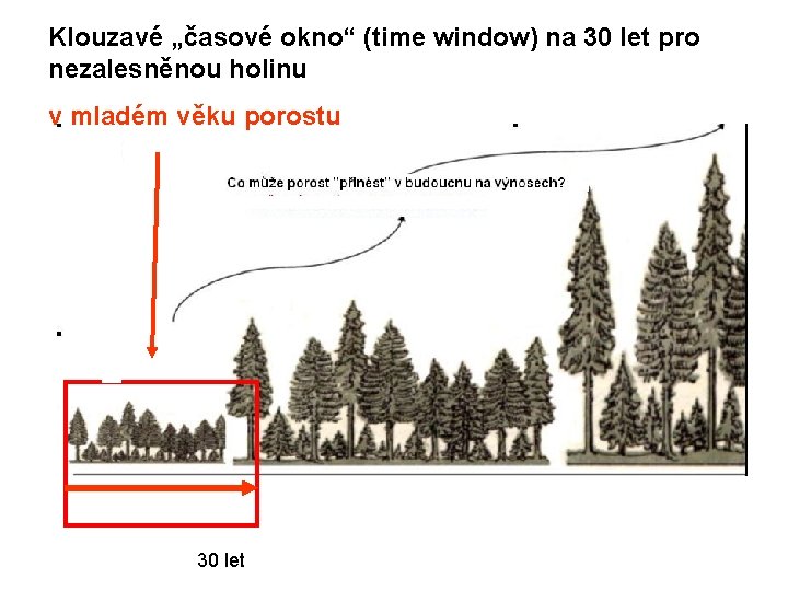 Klouzavé „časové okno“ (time window) na 30 let pro nezalesněnou holinu v mladém věku