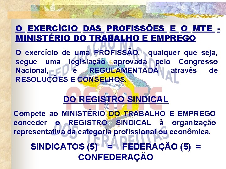 O EXERCÍCIO DAS PROFISSÕES E O MTE MINISTÉRIO DO TRABALHO E EMPREGO O exercício