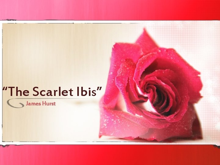 “The Scarlet Ibis” James Hurst 