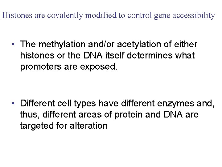 Histones are covalently modified to control gene accessibility • The methylation and/or acetylation of