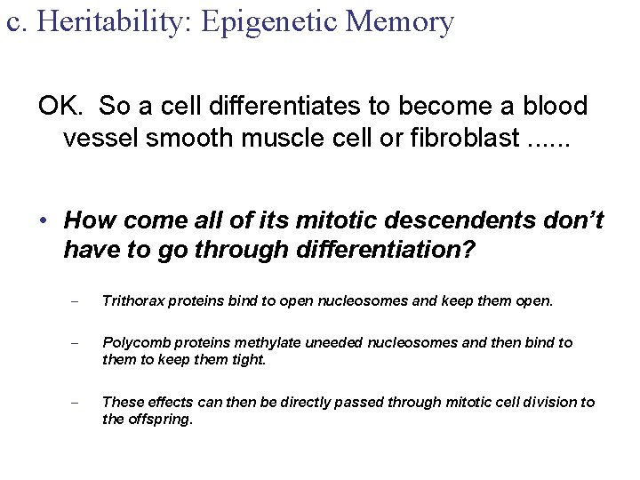 c. Heritability: Epigenetic Memory OK. So a cell differentiates to become a blood vessel