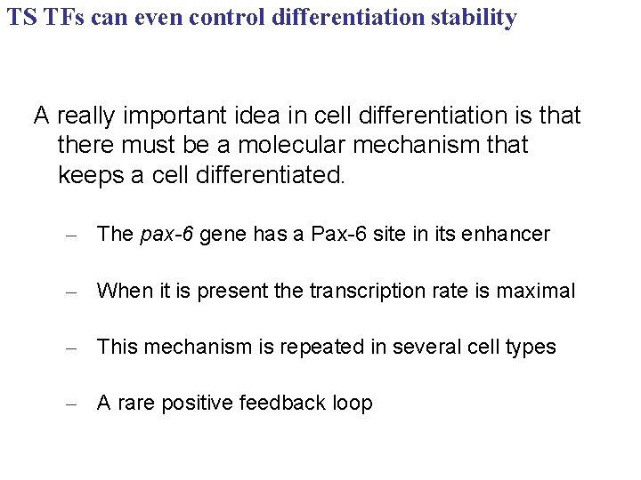 TS TFs can even control differentiation stability A really important idea in cell differentiation