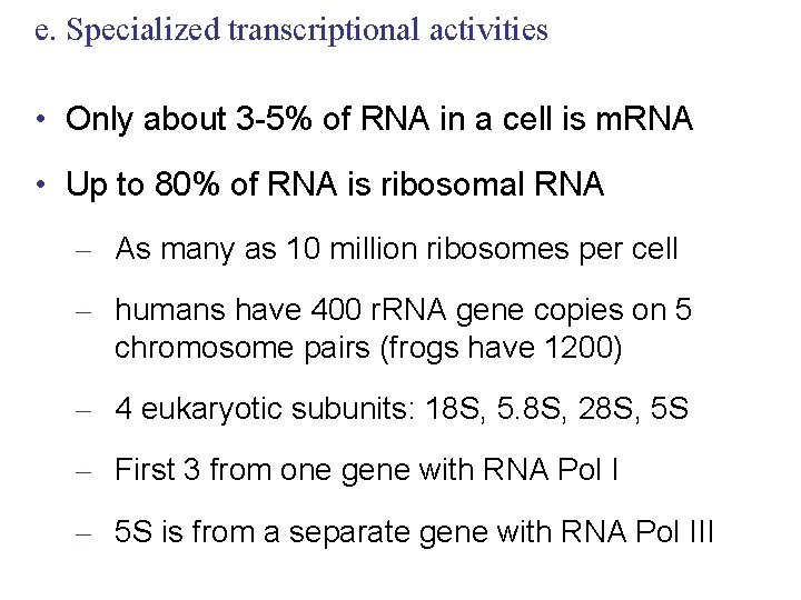 e. Specialized transcriptional activities • Only about 3 -5% of RNA in a cell