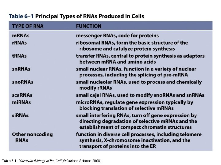 Table 6 -1 Molecular Biology of the Cell (© Garland Science 2008) 