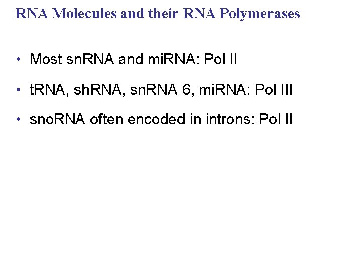 RNA Molecules and their RNA Polymerases • Most sn. RNA and mi. RNA: Pol