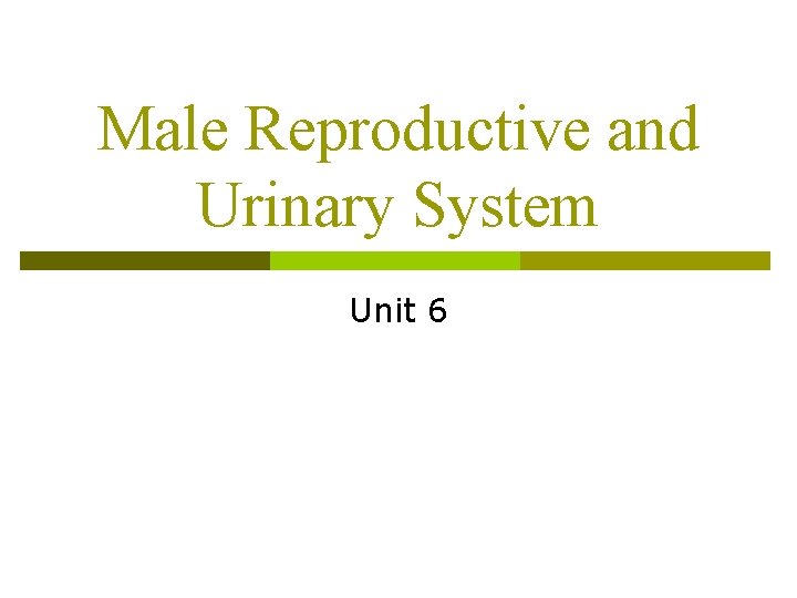 Male Reproductive and Urinary System Unit 6 
