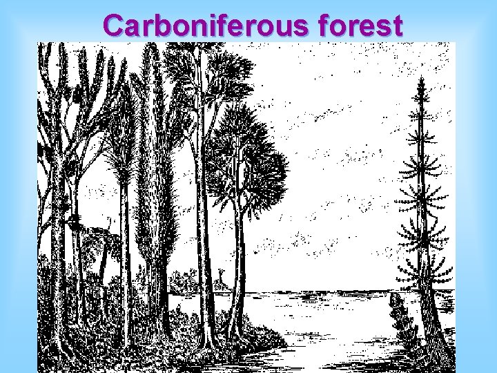 Carboniferous forest 