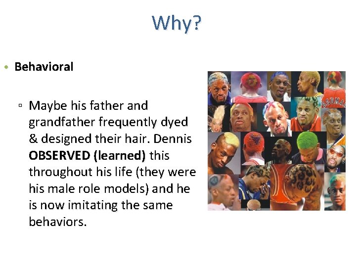 Why? • Behavioral ▫ Maybe his father and grandfather frequently dyed & designed their