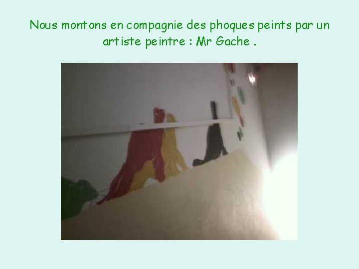 Nous montons en compagnie des phoques peints par un artiste peintre : Mr Gache.