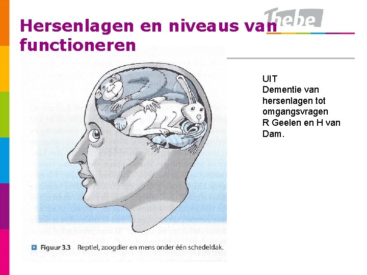 Hersenlagen en niveaus van functioneren UIT Dementie van hersenlagen tot omgangsvragen R Geelen en