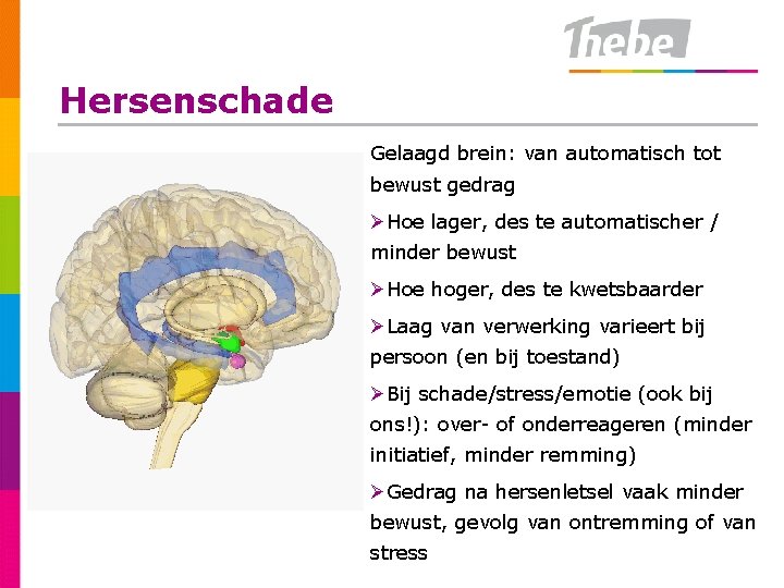 Hersenschade Gelaagd brein: van automatisch tot bewust gedrag ØHoe lager, des te automatischer /
