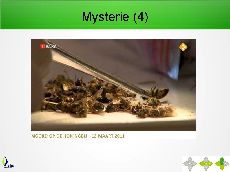 Mysterie (4) 