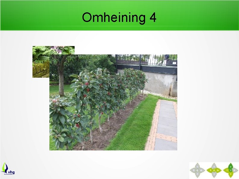 Omheining 4 