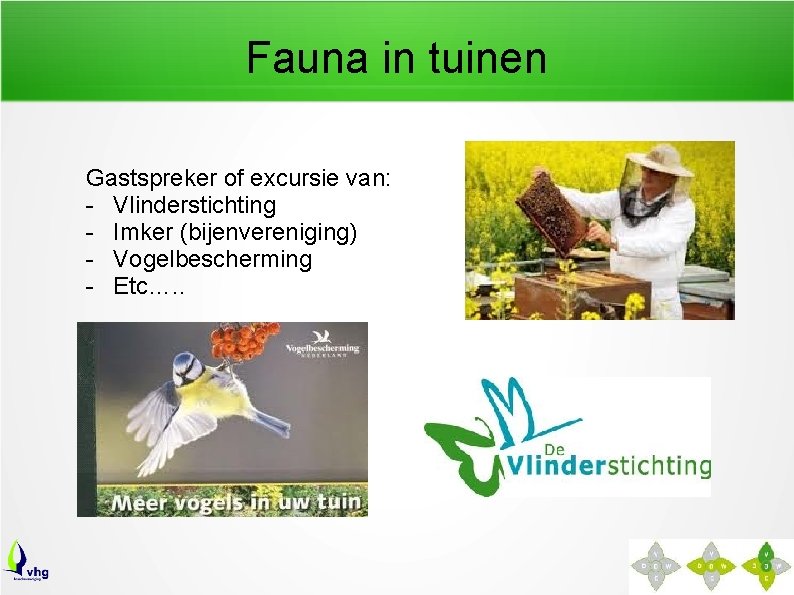 Fauna in tuinen Gastspreker of excursie van: - Vlinderstichting - Imker (bijenvereniging) - Vogelbescherming