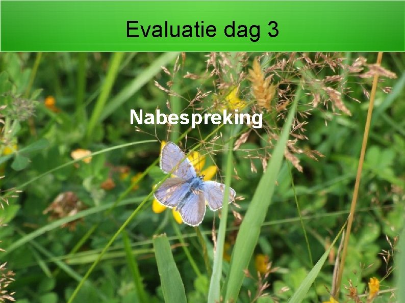 Evaluatie dag 3 Nabespreking 