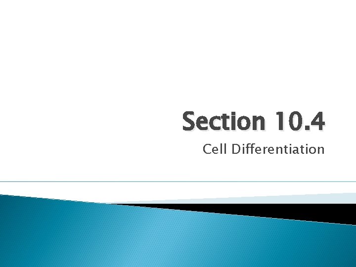 Section 10. 4 Cell Differentiation 