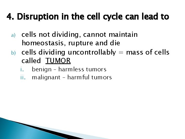 4. Disruption in the cell cycle can lead to a) b) cells not dividing,