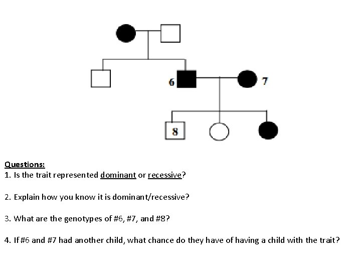 Questions: 1. Is the trait represented dominant or recessive? 2. Explain how you know