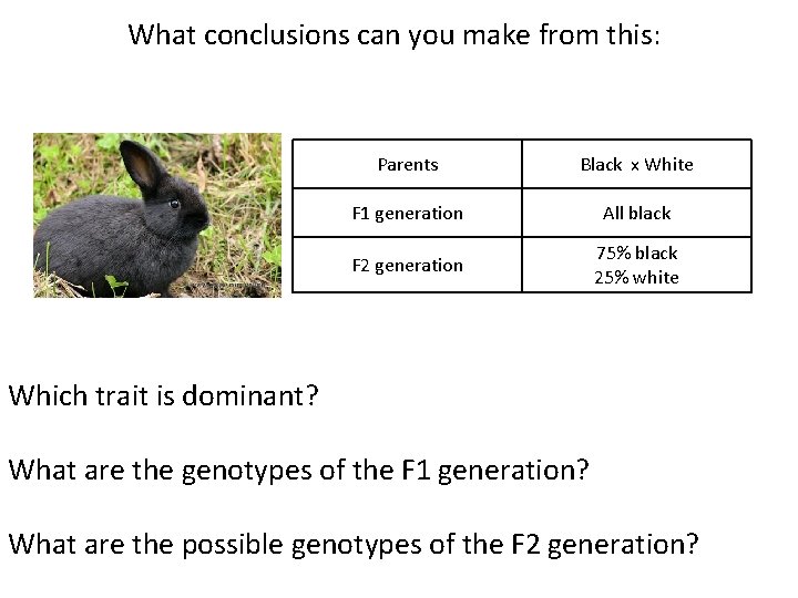 What conclusions can you make from this: Parents Black x White F 1 generation
