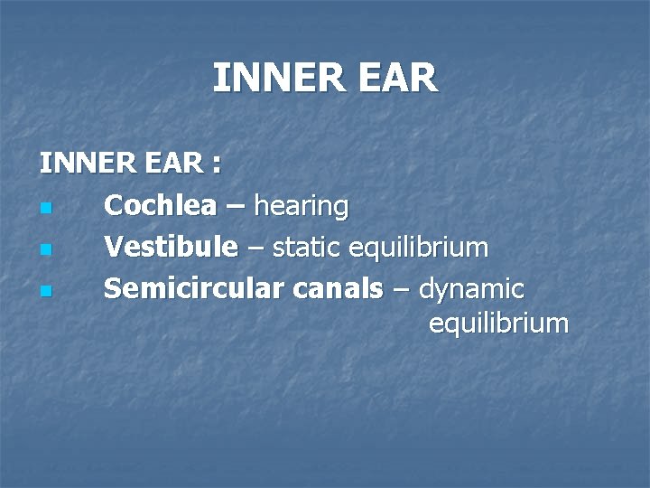 INNER EAR : n Cochlea – hearing n Vestibule – static equilibrium n Semicircular