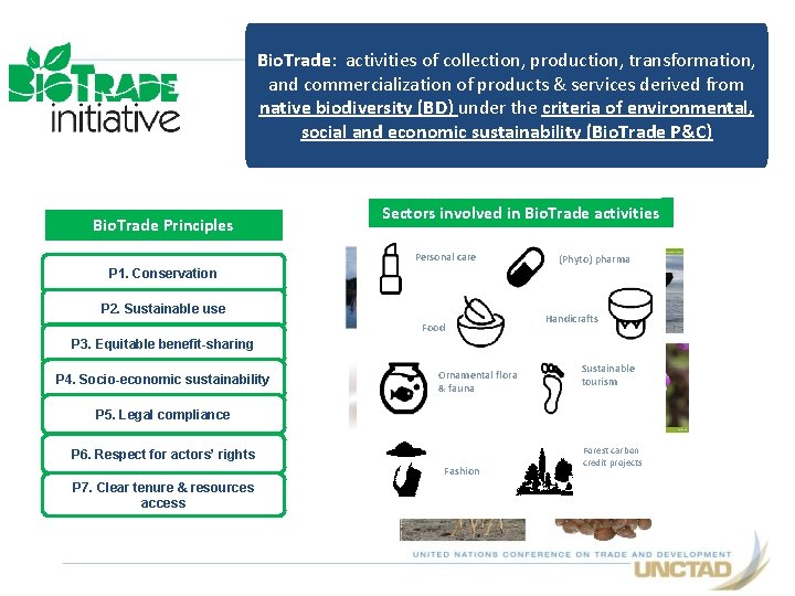 The Bio Trade Initiative for the SDGs 12