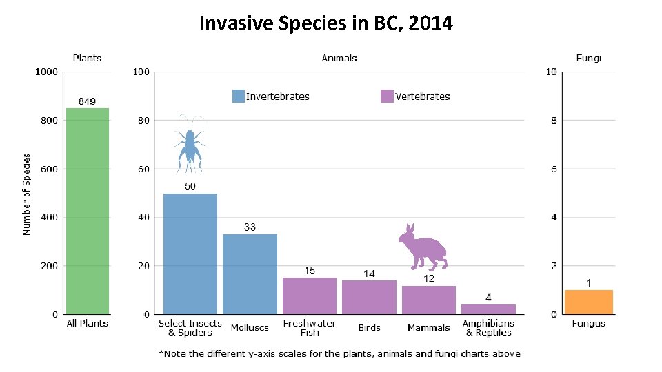 Invasive Species in BC, 2014 