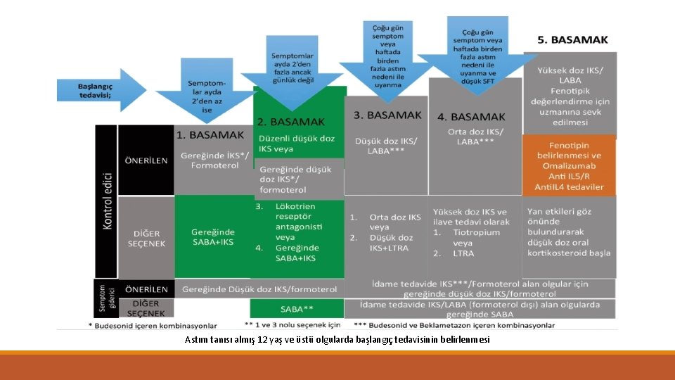 Astım tanısı almış 12 yaş ve üstü olgularda başlangıç tedavisinin belirlenmesi 