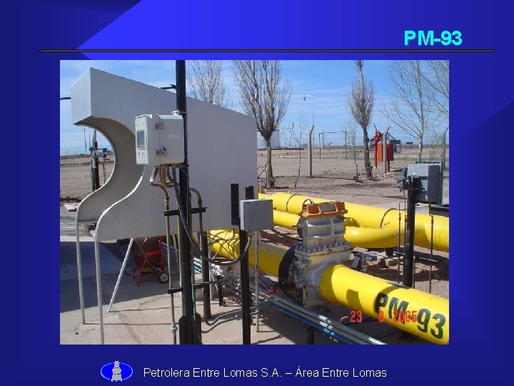 PM-93 Petrolera Entre Lomas S. A. – Área Entre Lomas 