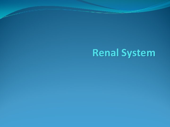 Renal System 