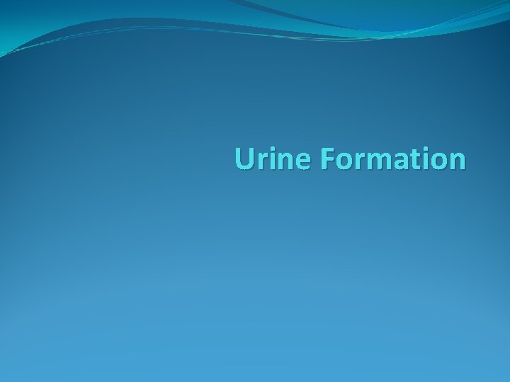 Urine Formation 