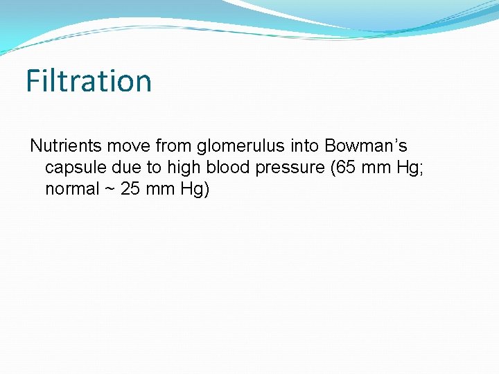Filtration Nutrients move from glomerulus into Bowman’s capsule due to high blood pressure (65