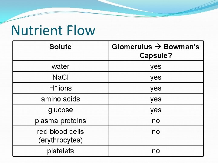 Nutrient Flow Solute Glomerulus Bowman’s Capsule? water yes Na. Cl yes H+ ions yes