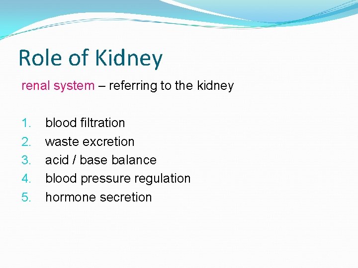 Role of Kidney renal system – referring to the kidney 1. 2. 3. 4.