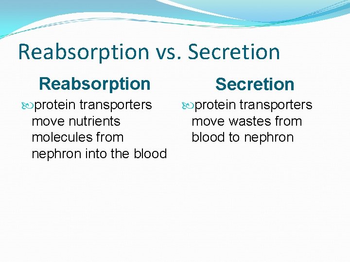 Reabsorption vs. Secretion Reabsorption protein transporters move nutrients molecules from nephron into the blood