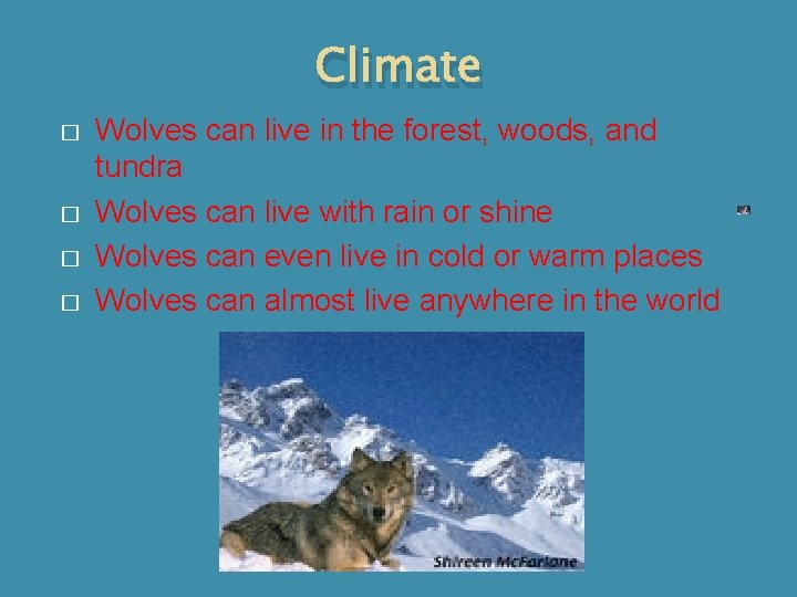 Climate � � Wolves can live in the forest, woods, and tundra Wolves can