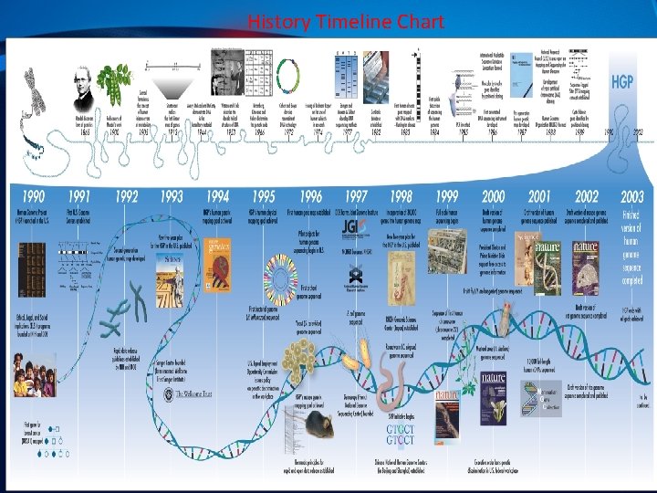 History Timeline Chart 