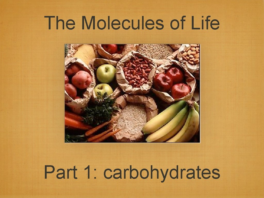 The Molecules of Life Part 1: carbohydrates 